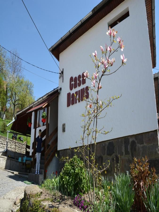 Проживание в семье Casa Darius Совата-4