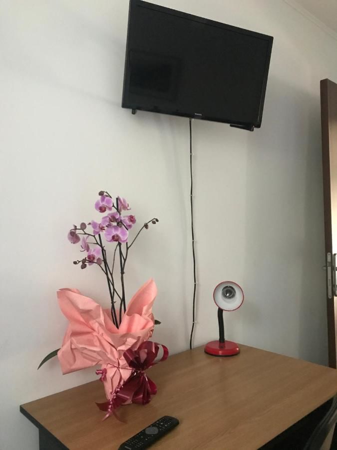 Проживание в семье Casa Darius Совата