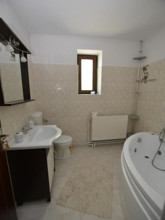 Проживание в семье Casa Darius Совата