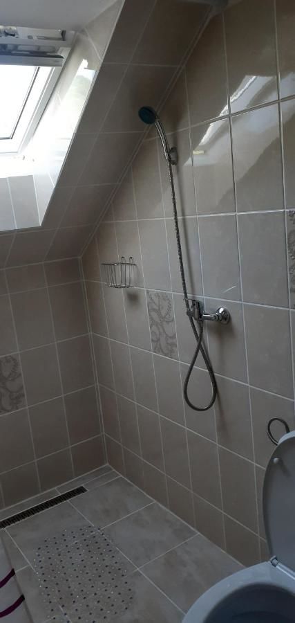Проживание в семье Casa Darius Совата
