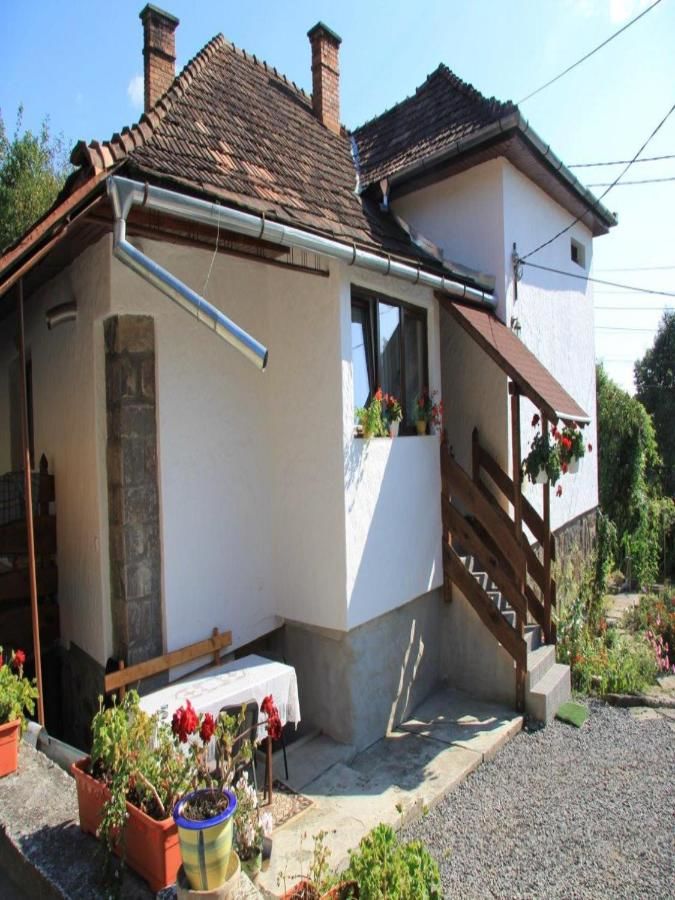 Проживание в семье Casa Darius Совата